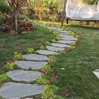 Flagstone slate stepping